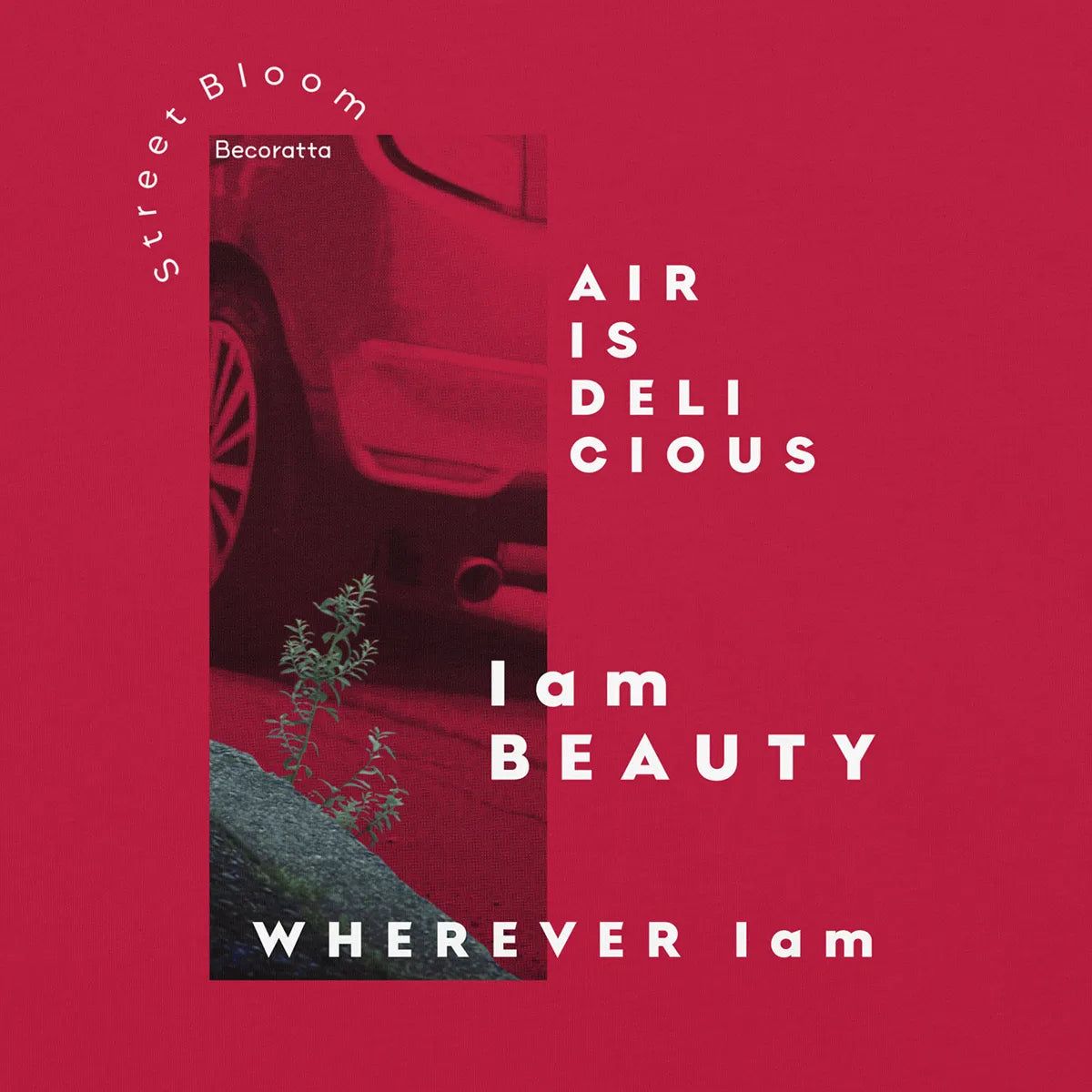 I am BEAUTY | garment-dyed heavyweight t-shirt, Relaxed Fit, Soft & Durable