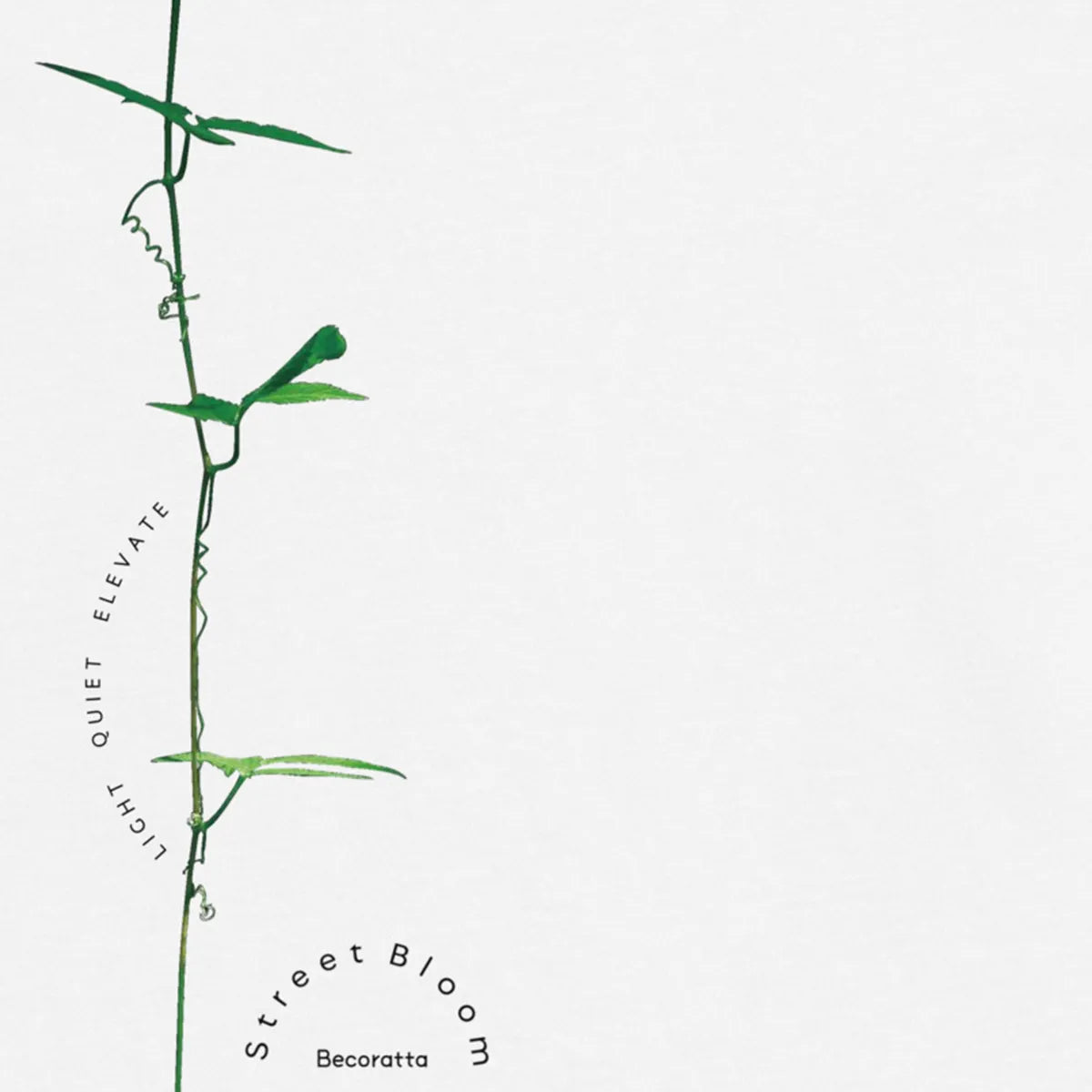 LIGHT QUIET ELEVATE | Organic T-Shirt, Eco-Friendly Urban Style