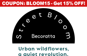 Street Bloom 